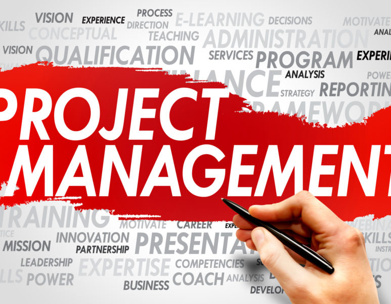 Project Management word cloud, business concept